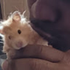 Meet your Posher, Edward